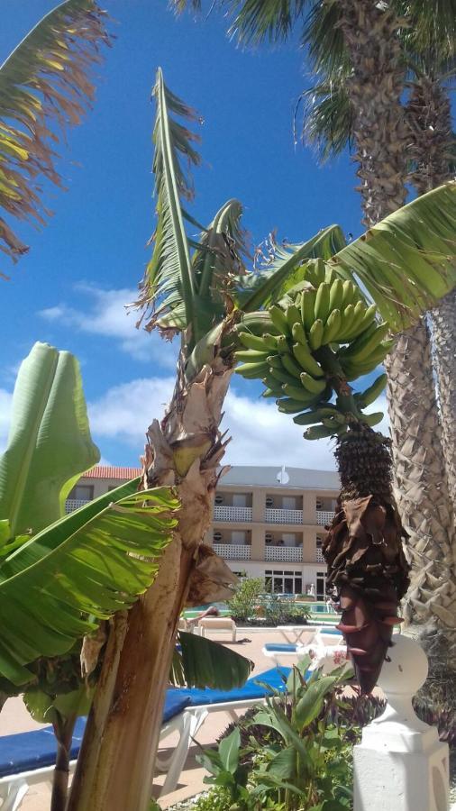 Parque Carolina Estudio 203 Costa Del Silencio Dış mekan fotoğraf